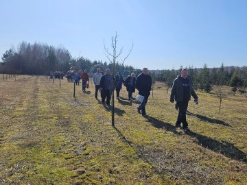 Przedwiośnie przy siedzibie Oddziału Sulejowskiego i Spalskiego Parku Krajobrazowego, 